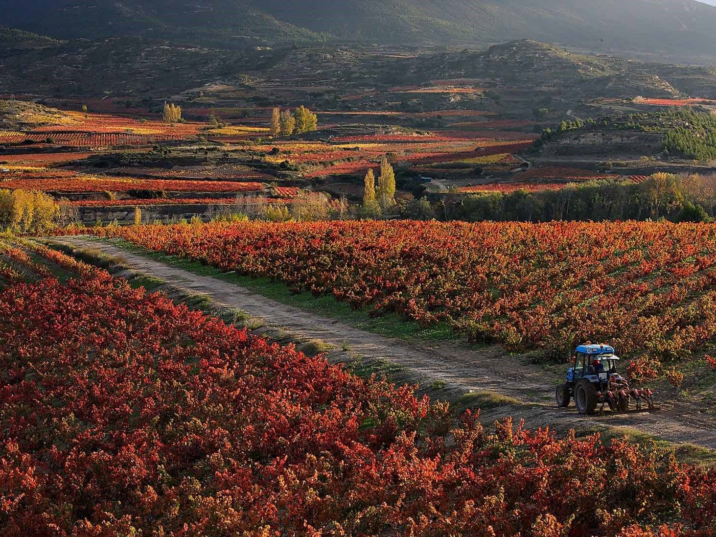 Ruta del vino de Rioja alta
